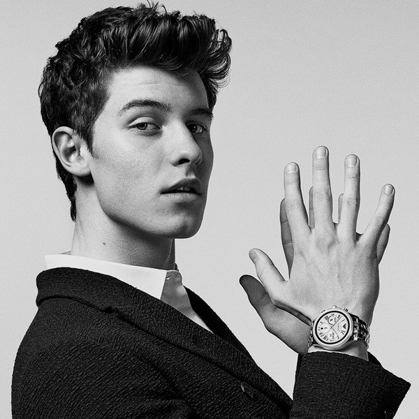 Square shawn mendes flipped